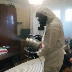 Дезинфекция от клопов в Дружноселье