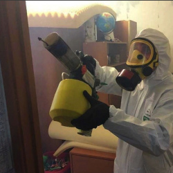 Уничтожение клопов в квартире. Дружноселье